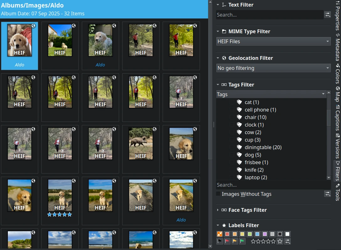 Albums View and Item Filters