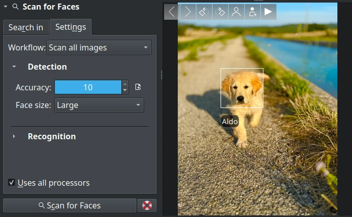 Face Detection Settings