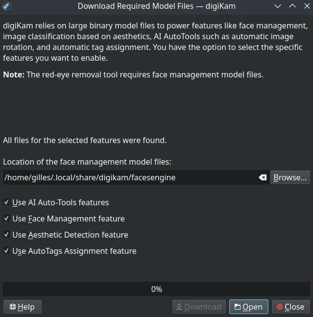 AI Models Downloading