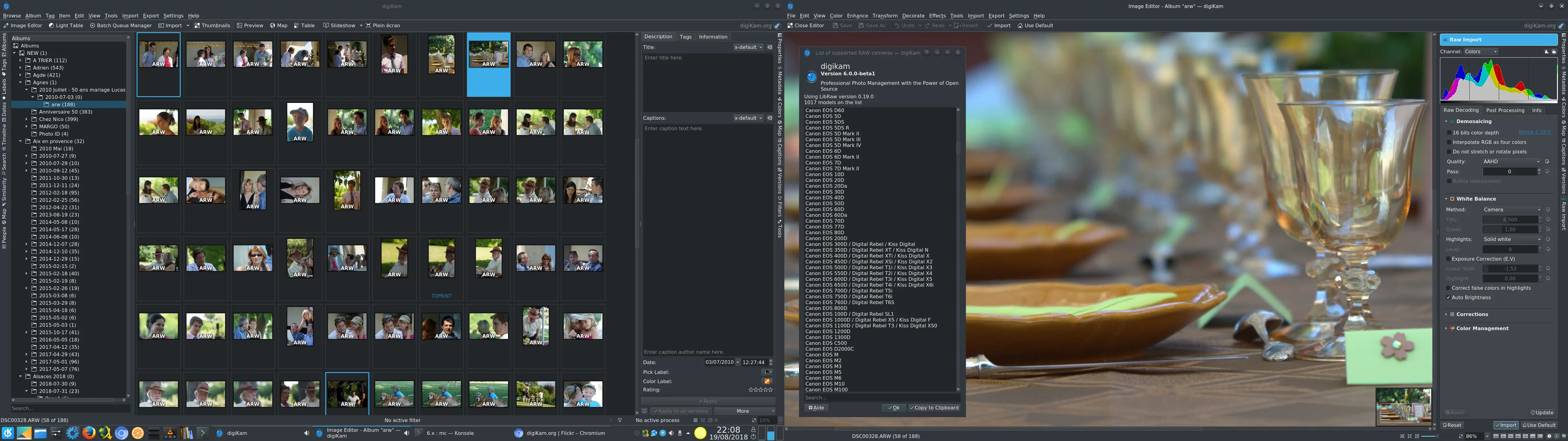 digiKam 6.0.0 - Image Editor Raw Import Tools Using Last Libraw 0.19