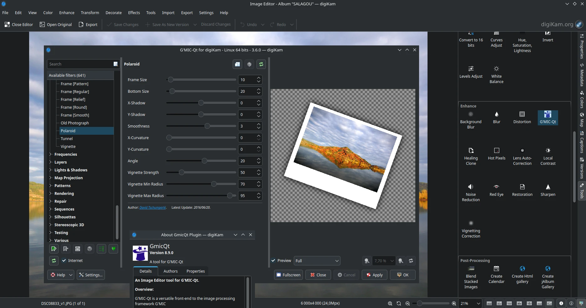 digiKam Running the GMicQt Plugin From Image editor