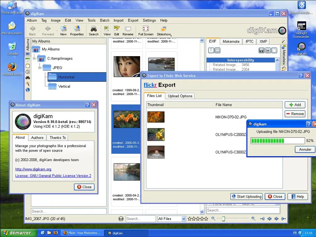 flickrexportwin32_02