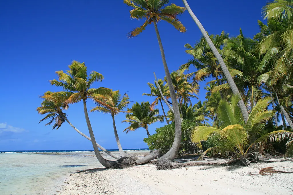 lagon