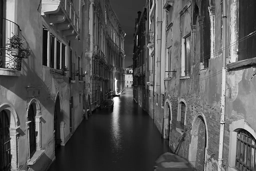 IMG_3972