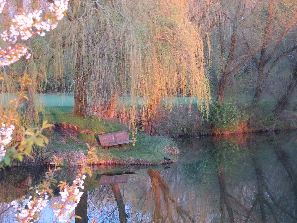Lake_EveningSun