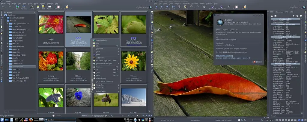 digiKam1.8.0