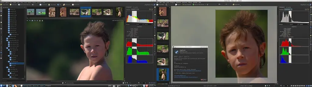 digikam-histogramview