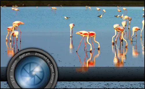 digiKam-3.0.0-beta3