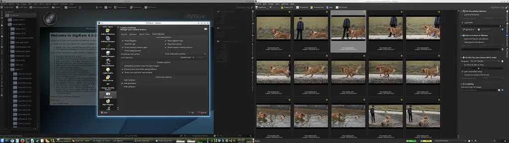 digiKam4.0.0-beta2