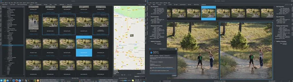 Albums View and Light Table