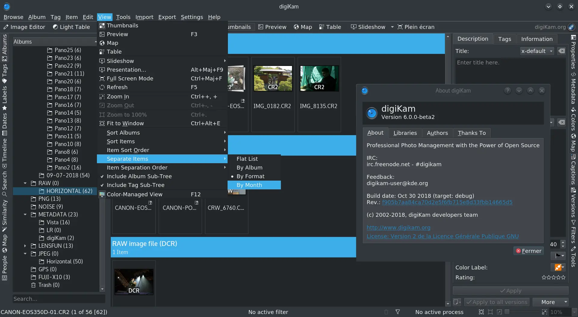 digiKam album content separate options