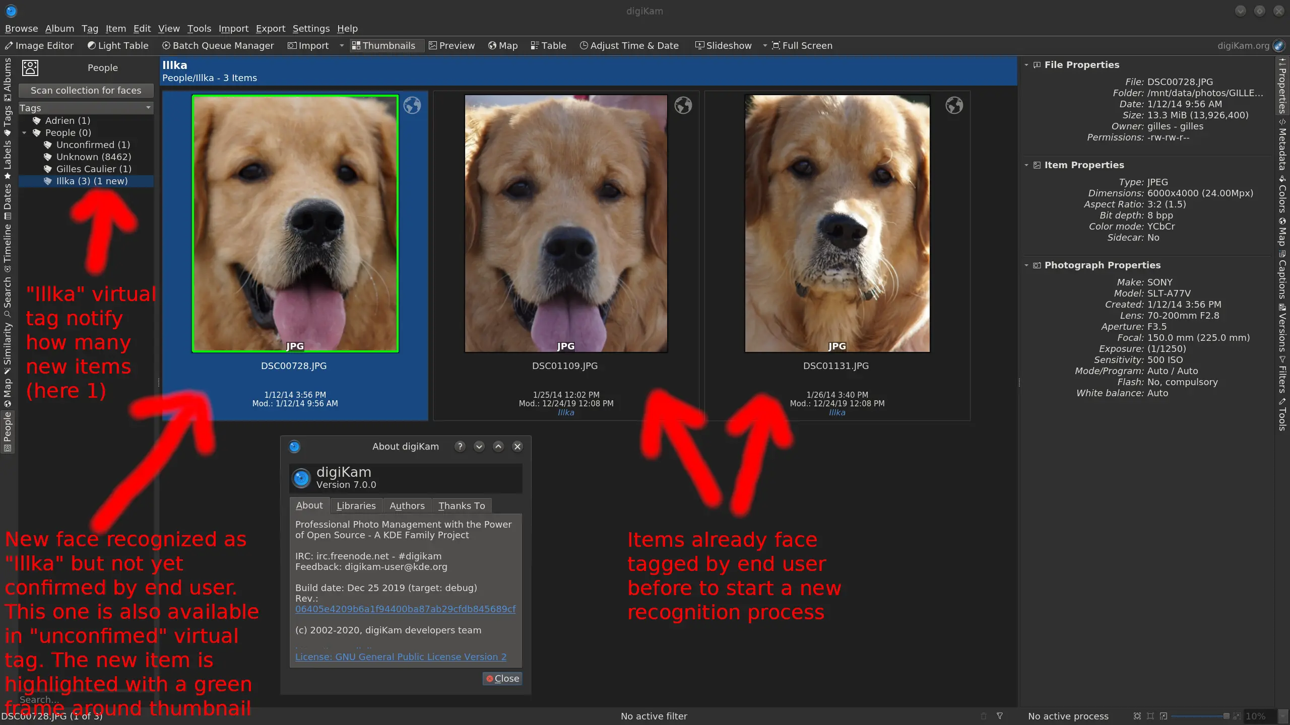digiKam One New Dog-Face Recognized While Parsing Collections