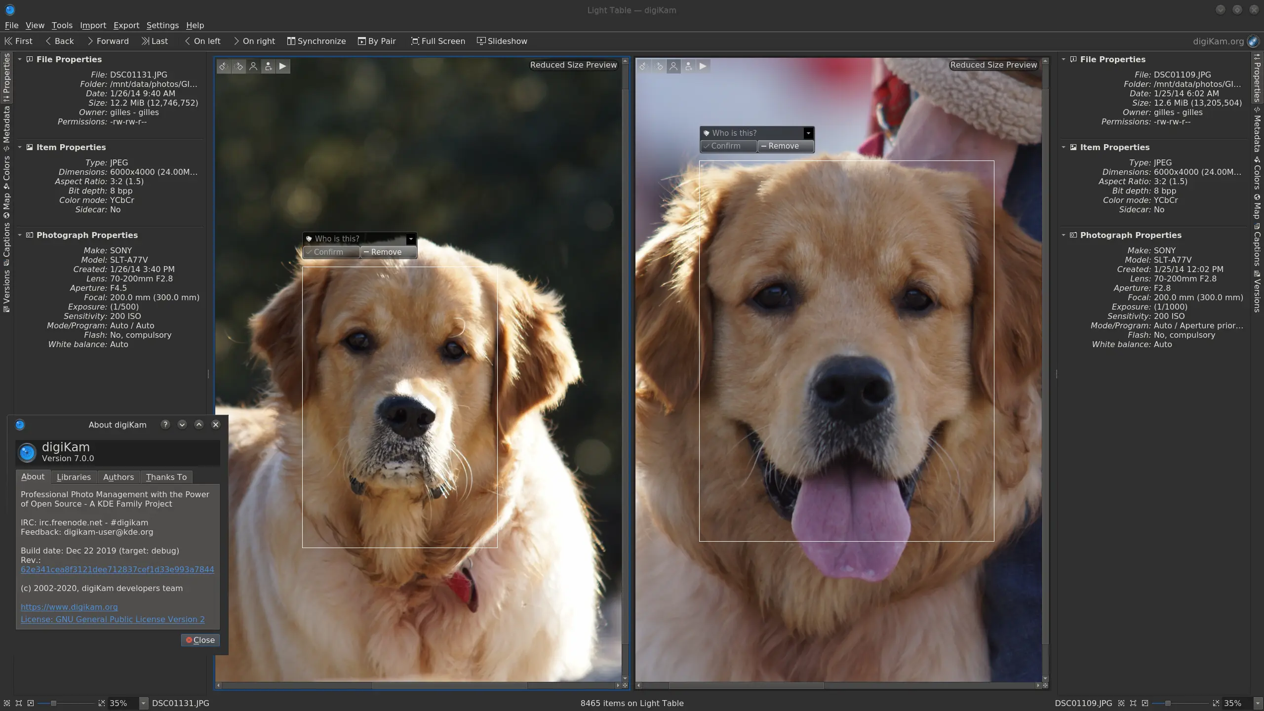 digiKam Faces Dog Detection Compared in Light Table