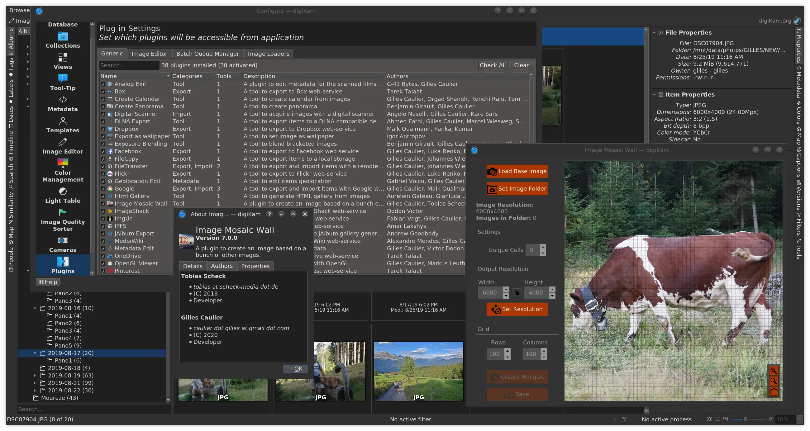 Image Mosaic Wall Plugin Running with digiKam 7.0.0