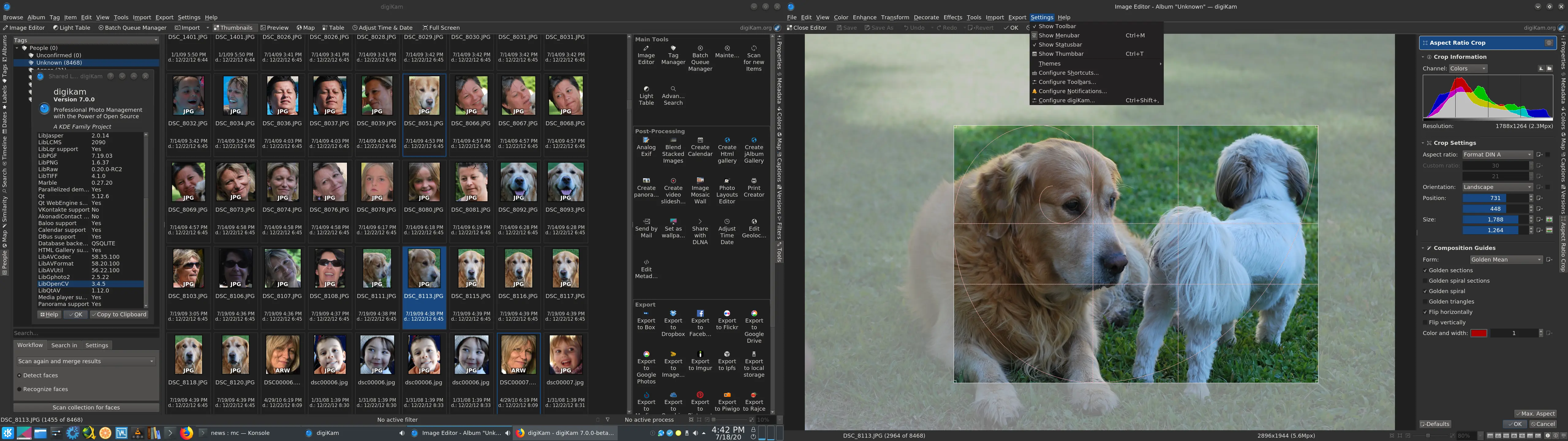 digiKam Faces Icon - view After Detection Process