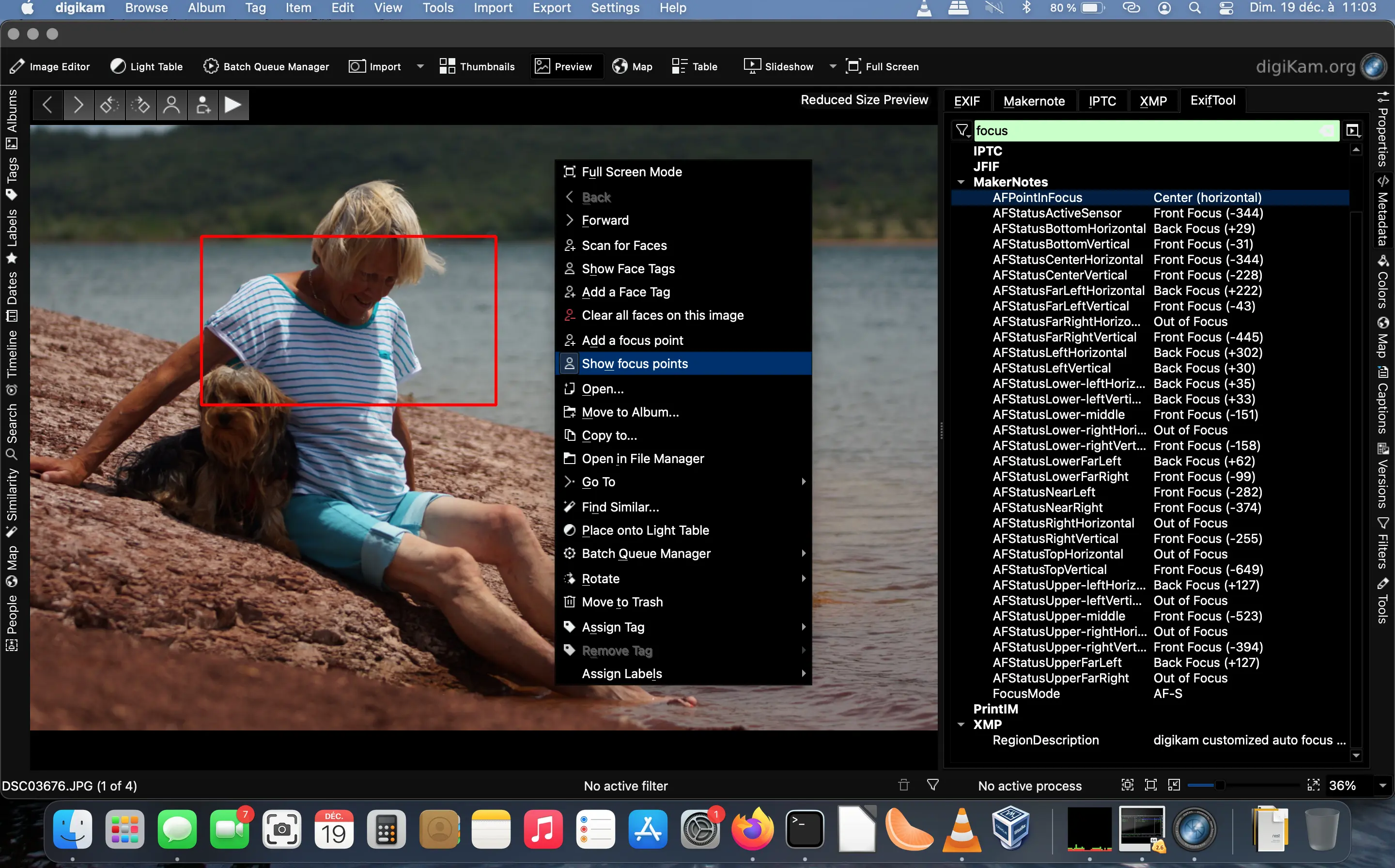 digiKam 7.4.0 Showing AF Focus Area While Photo Review