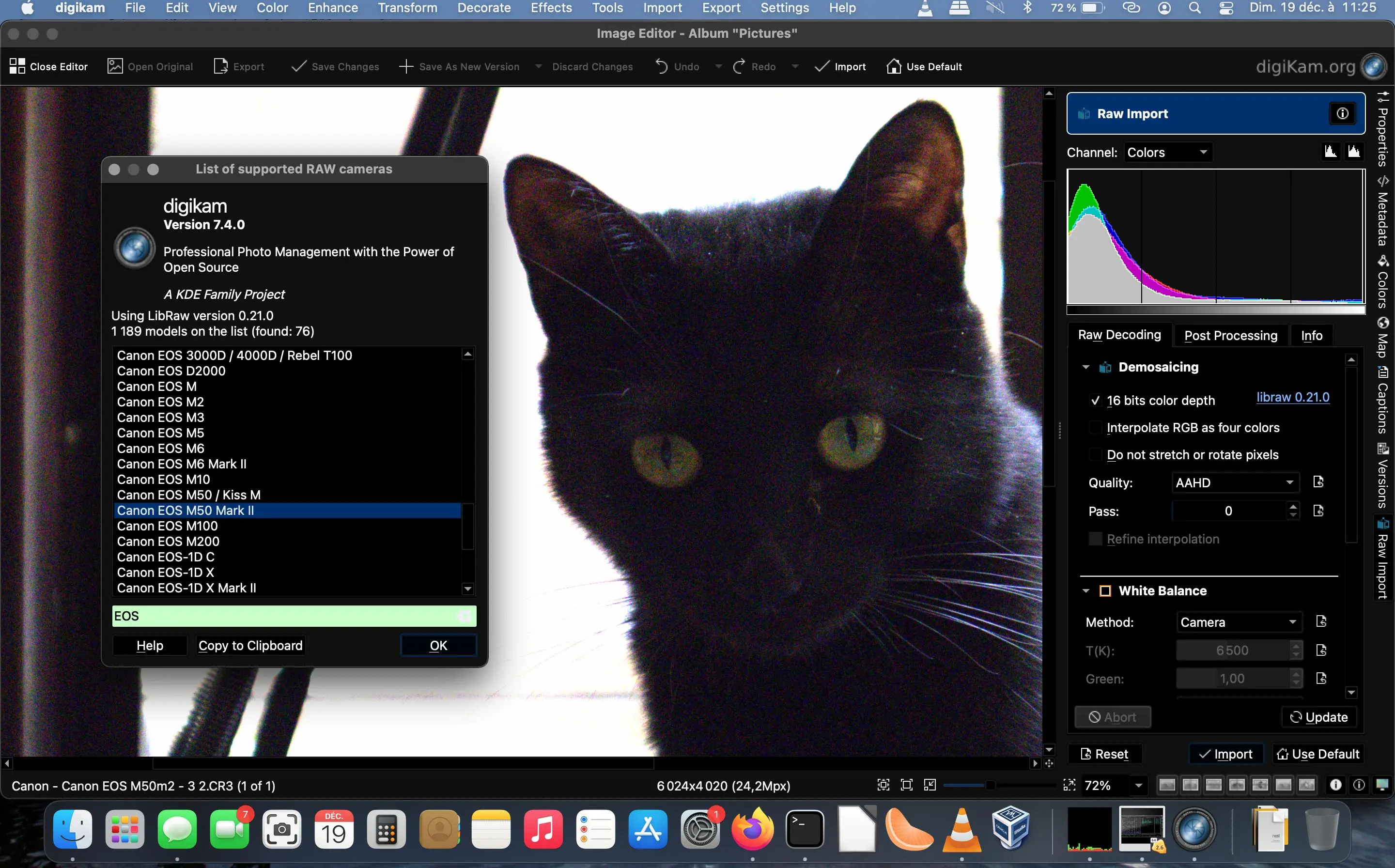 digiKam 7.4.0 Running Raw Import Tool