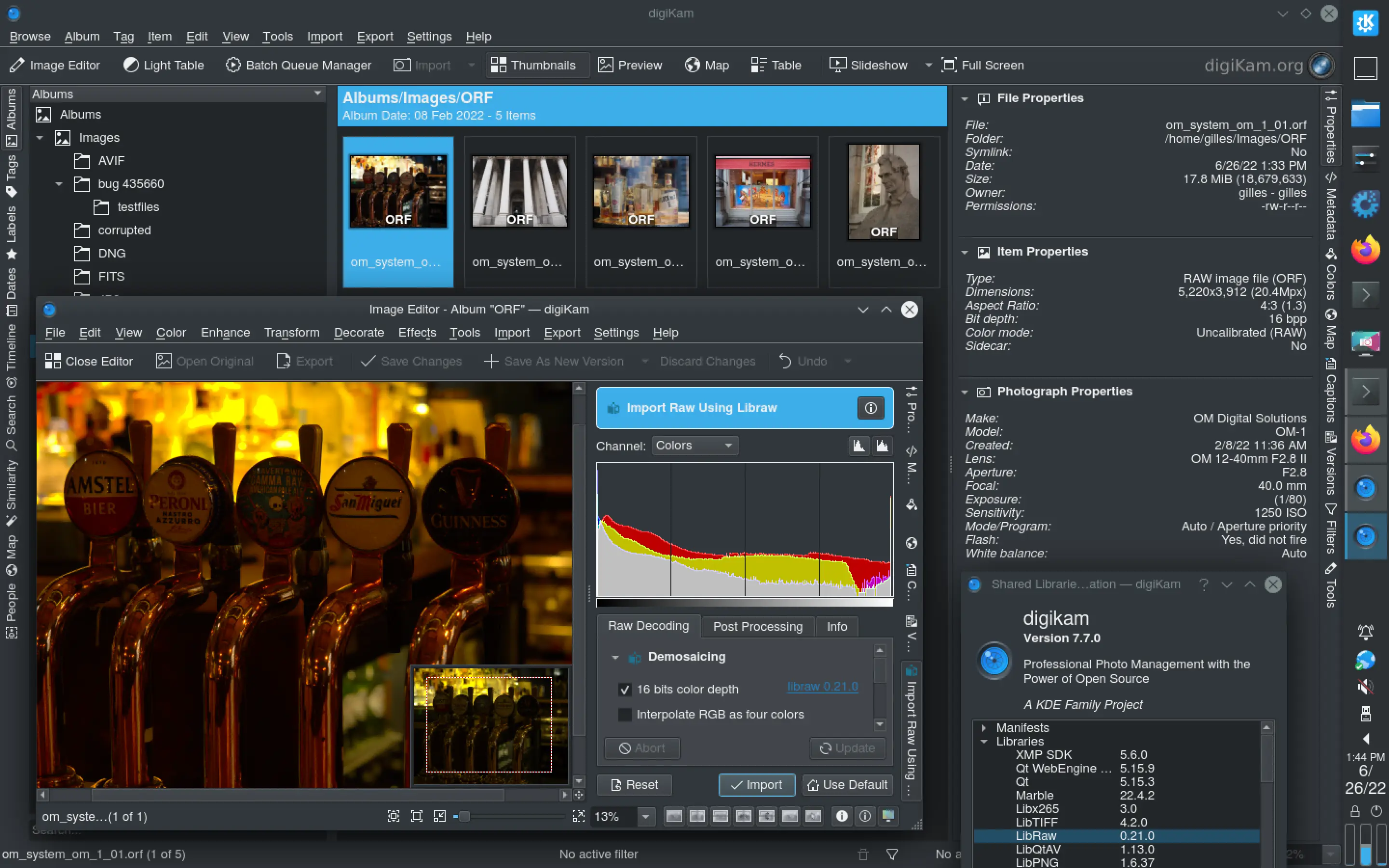 digiKam 7.7.0 Editing an Olympus OM-1 RAW file