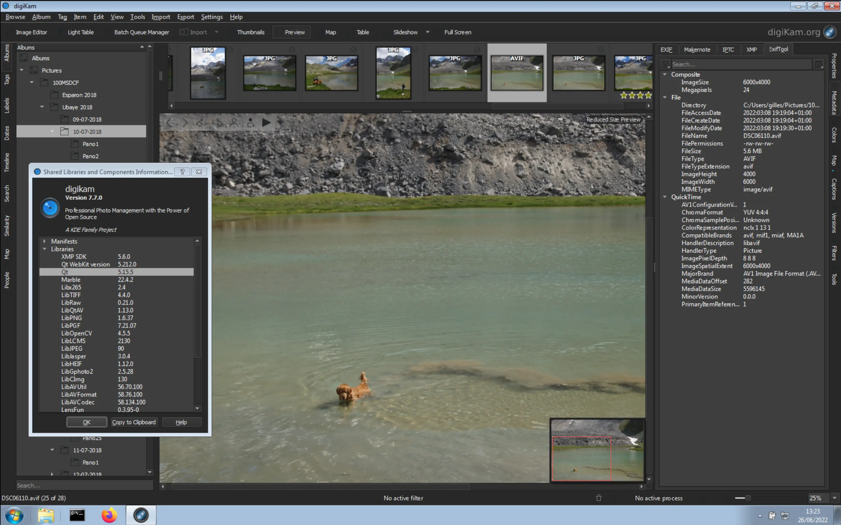 digiKam 7.7.0 Showing AVIF Image Under Microsoft Windows