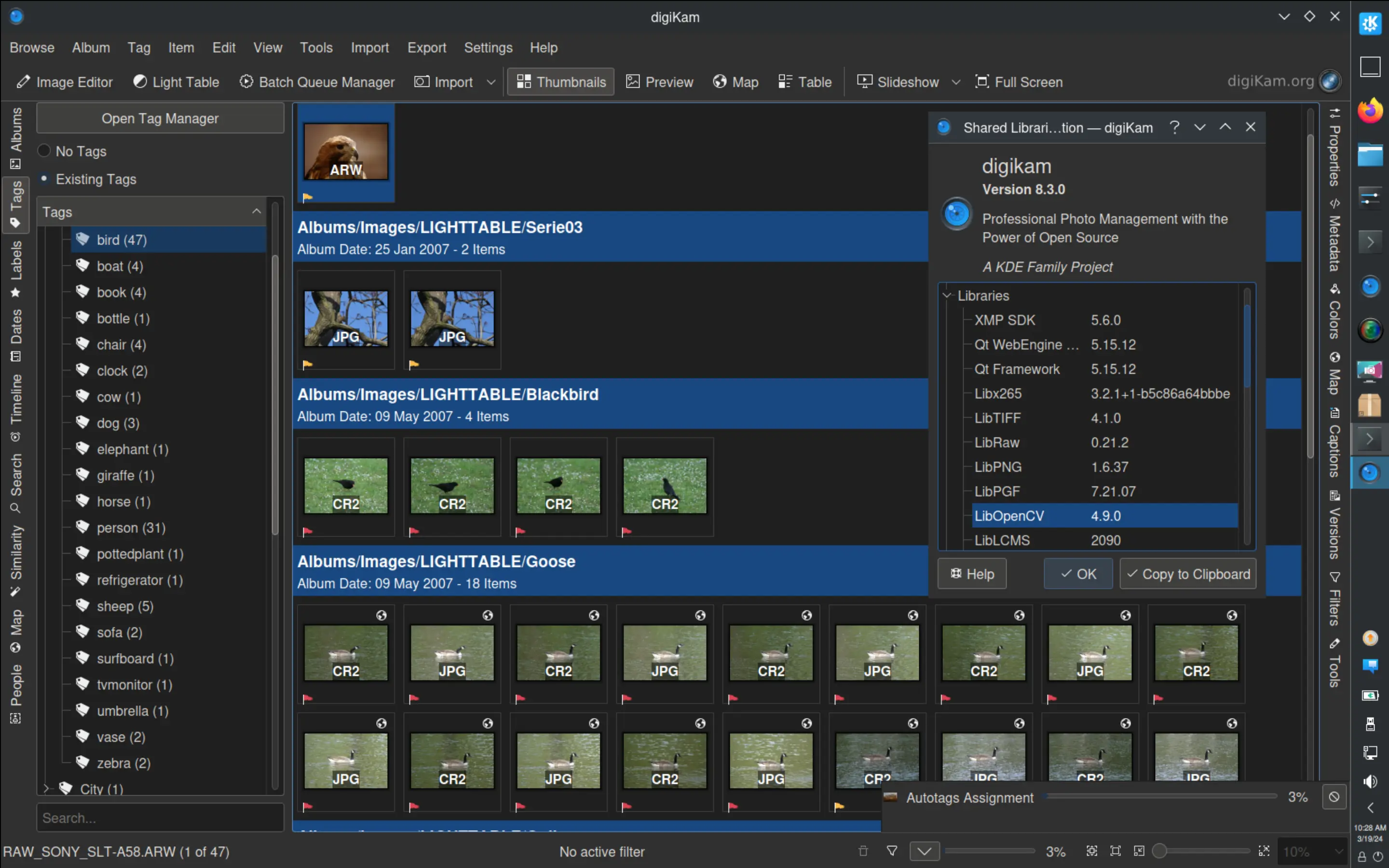 digiKam 8.3.0 Populating the Auto Tag Hierarchy While Parsing Image Contents