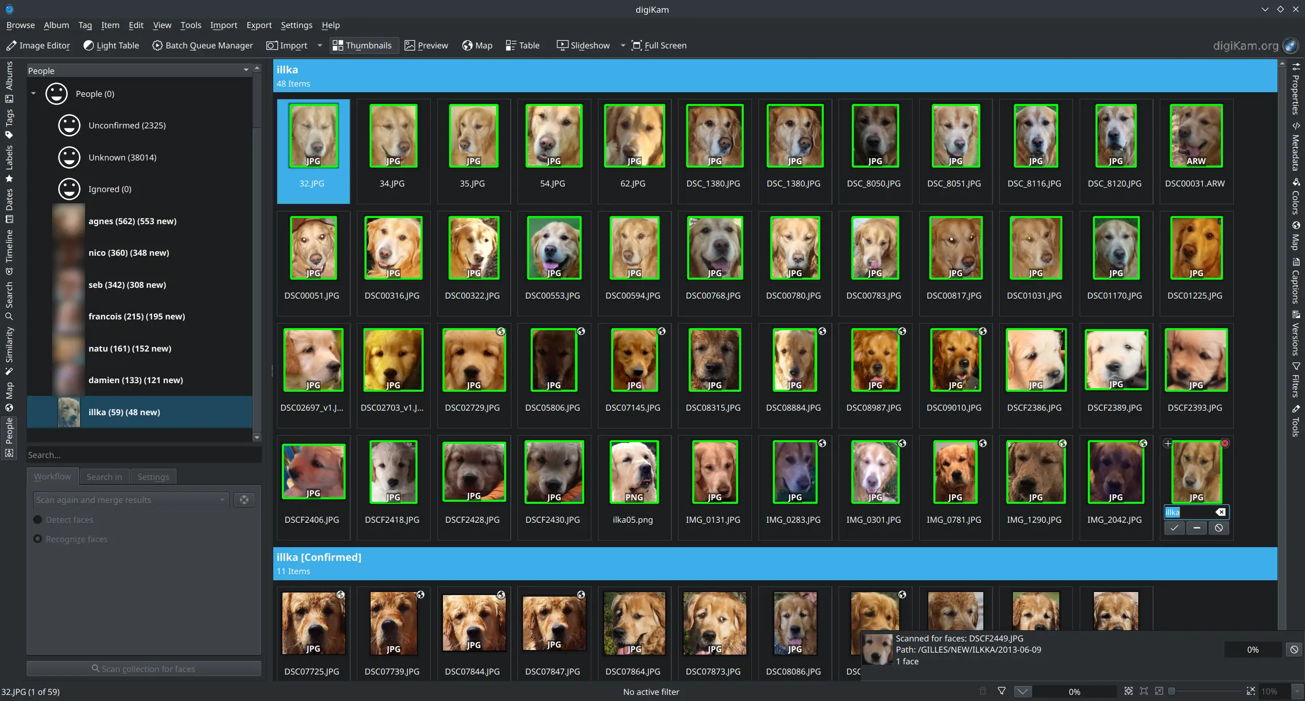 digiKam 8.5.0 face management workflow in progress