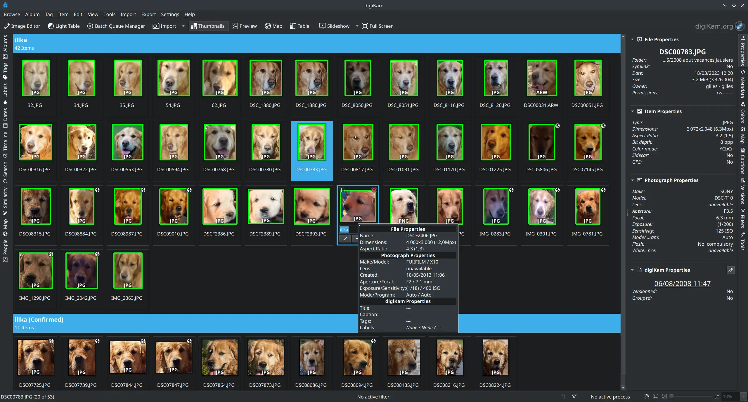 digiKam 8.5.0 with faces already confirmed on the bottom and new faces recognized on the top