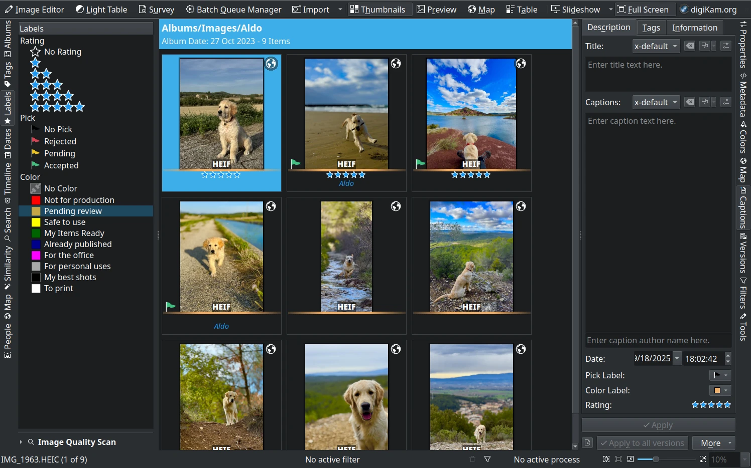 digiKam 9.0.0 Customizable Color Label Names