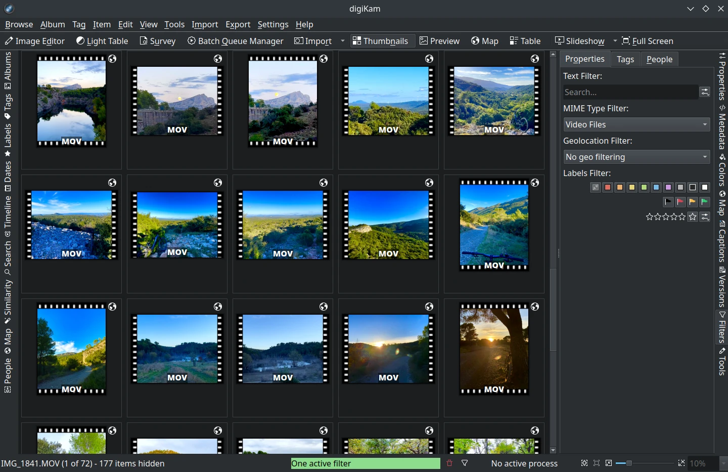 digiKam 9.0.0 Filters View Tabs