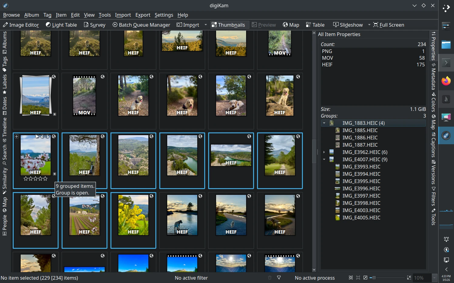 digiKam 9.0.0 Album Statistics Displayed on Properties Sidebar