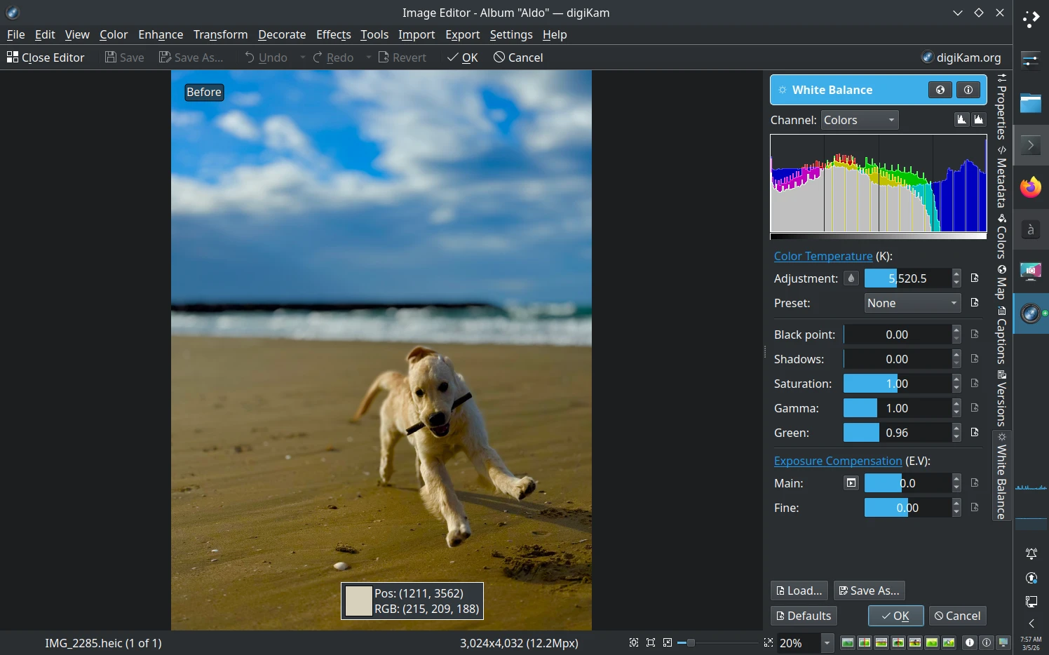 digiKam 9.0.0 Image Editor Pick Color Tool