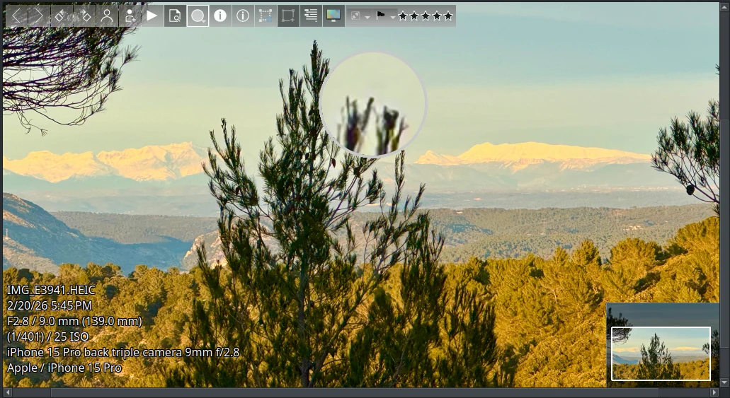 digiKam 9.0.0 Items Preview Canvas from the Survey Tool