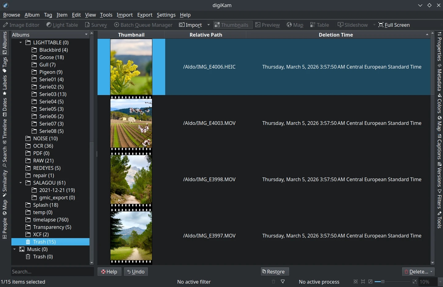 digiKam 9.0.0 filters view tabs